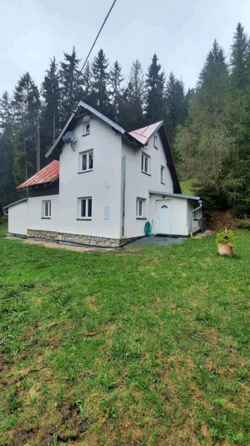 Villa Dům u lesa - Nové Hamry Exterior foto